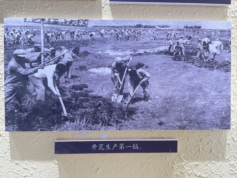 【重走天路看变迁】林周农场:雪域高原的"农垦记忆"