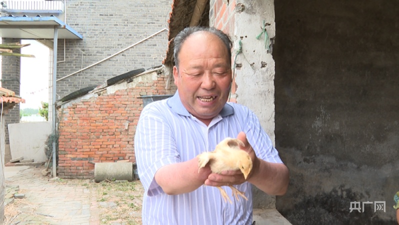 杨长春(央广网发 黄晨摄)