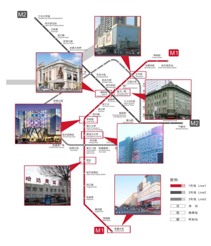 哈尔滨地铁2号线一期线路示意图.哈尔滨地铁集团 供图