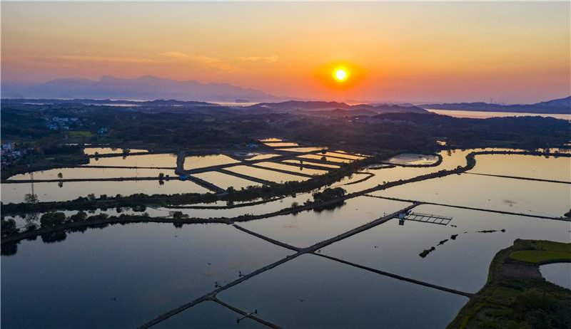 江西湖口:生态优先 实现渔业健康发展_央广网