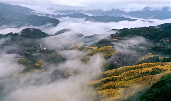 广西龙胜:雨后龙脊云海美如画