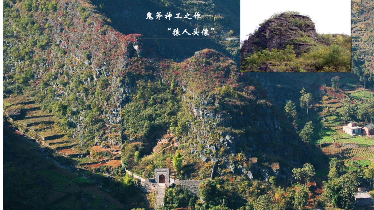 重庆频道 区县龙骨坡巫山人遗址是远古人类的起源地,大溪文化是新石器