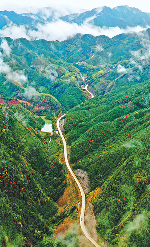 文旅美食近年来,新田县大力推进道路交通建设,改善当地群众出行条件