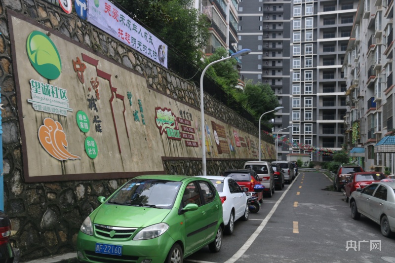 望城花园小区内道路干净整洁(央广网发 李金苗供图)