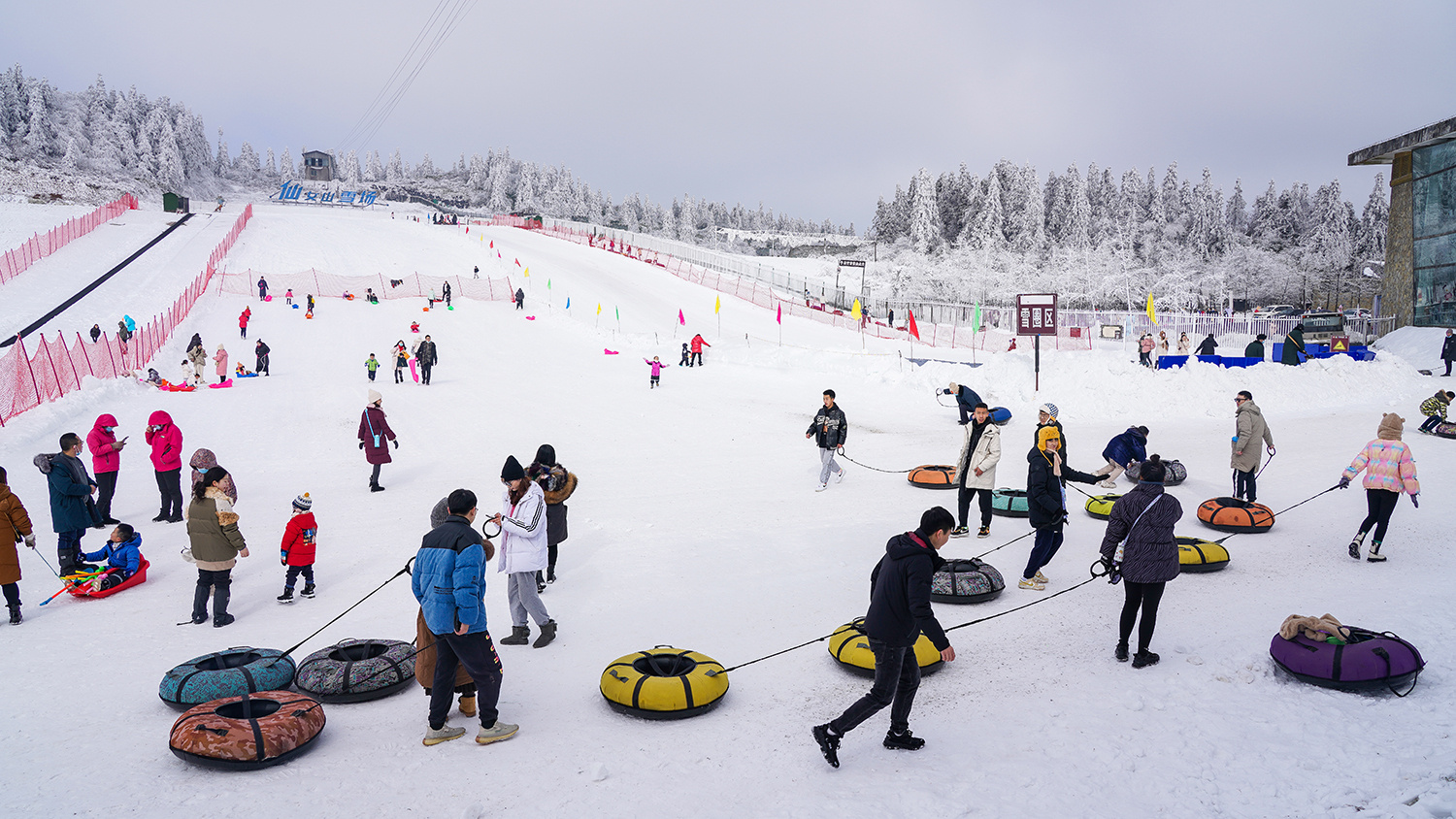 南国雪原武隆仙女山赏雪玩雪迎新年