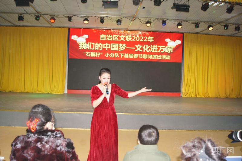 新春走基层新疆文联开展我的中国梦文化进万家活动