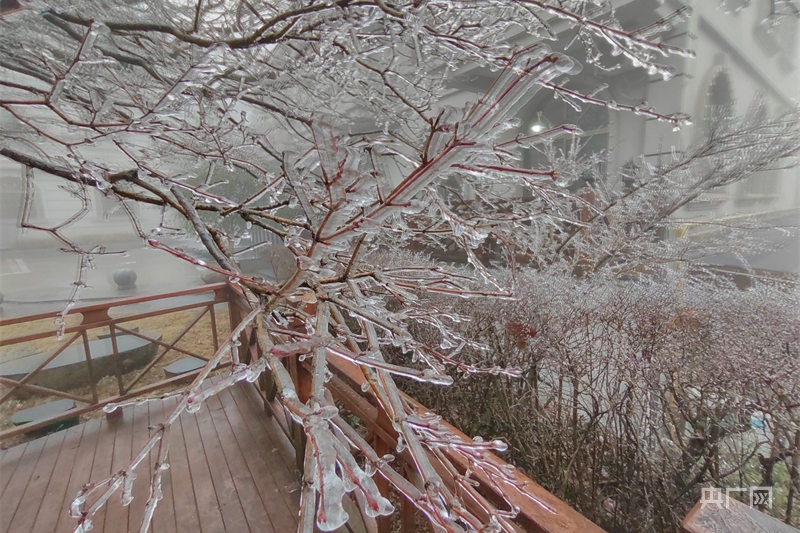 冬韵美庐山现雨凇雾凇冰如玉景观