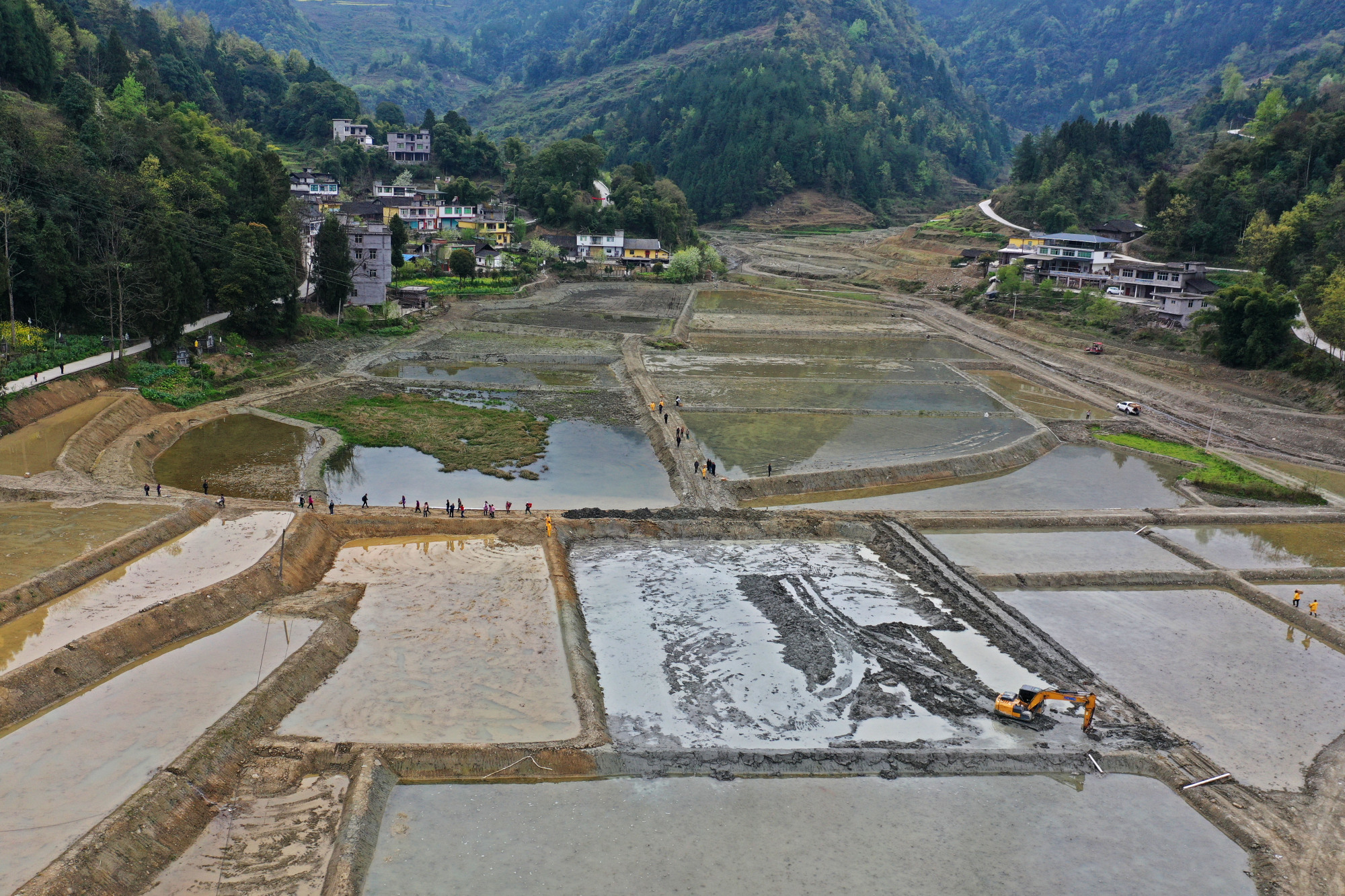 赵勇摄)今年初,彭水苗族土家族自治县对善感乡农纲村500多亩土地实施