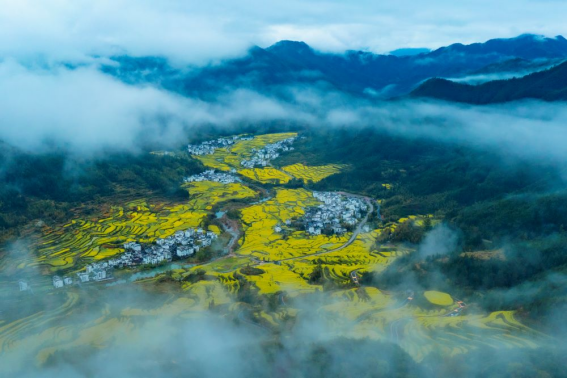 水墨江南只此青绿美丽乡村婺源