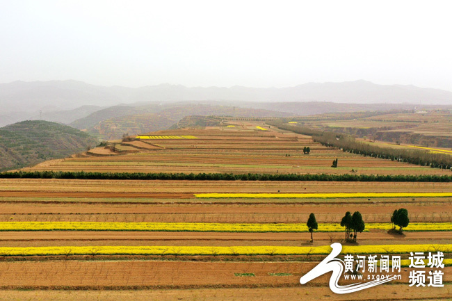 运城夏县中条山上春景美