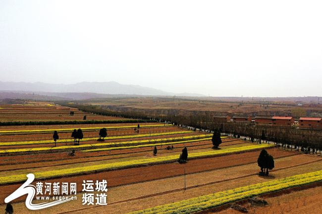 运城夏县中条山上春景美