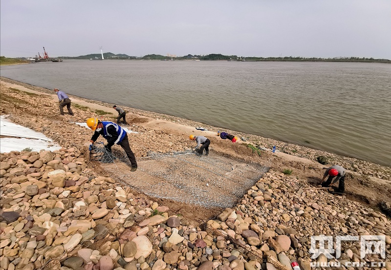 河道整治工地施工(央广网发 图片来源:cfp)