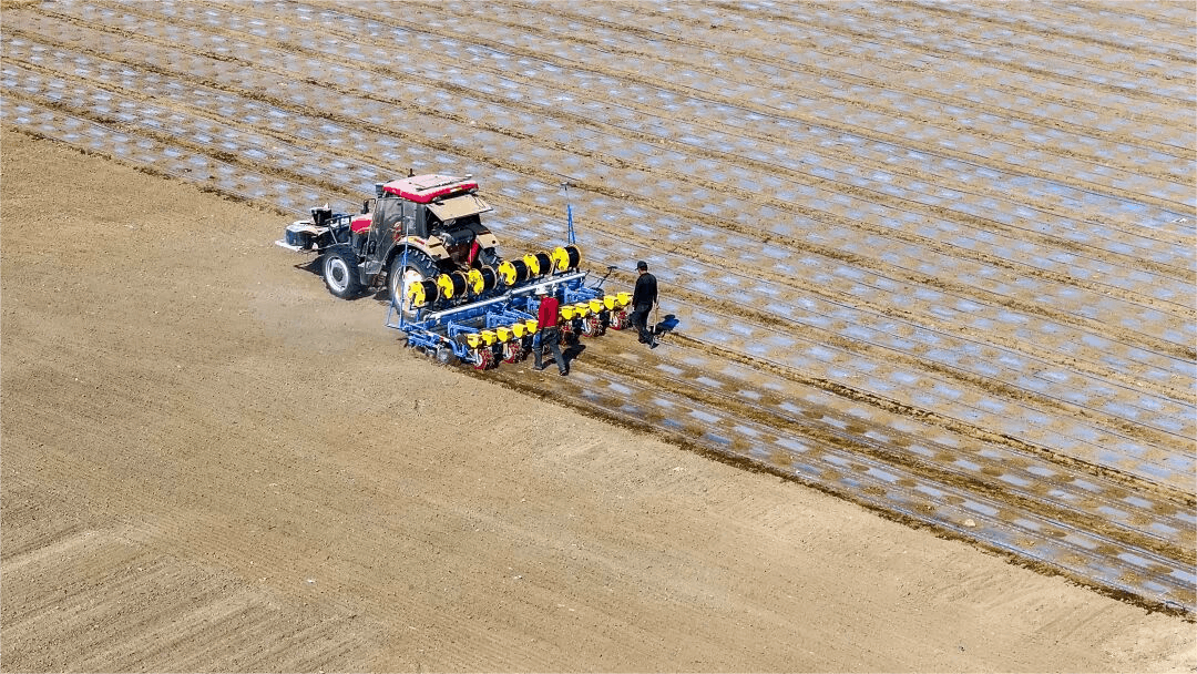 高质量发展“新”速度丨科技赋能引领新疆农业的智慧跨越(图1)