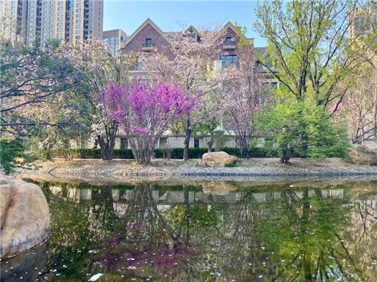 唐城·壹零壹 豪宅风向标 花园之上的建筑_央广网