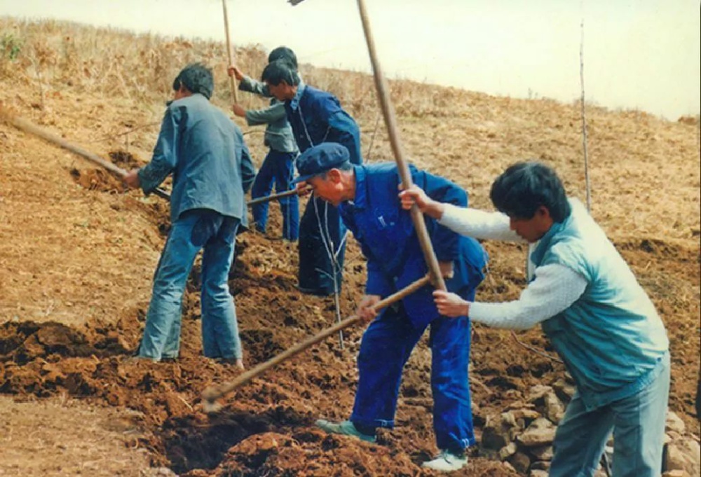 人民的好书记 女儿的好父亲|影像中的党史18