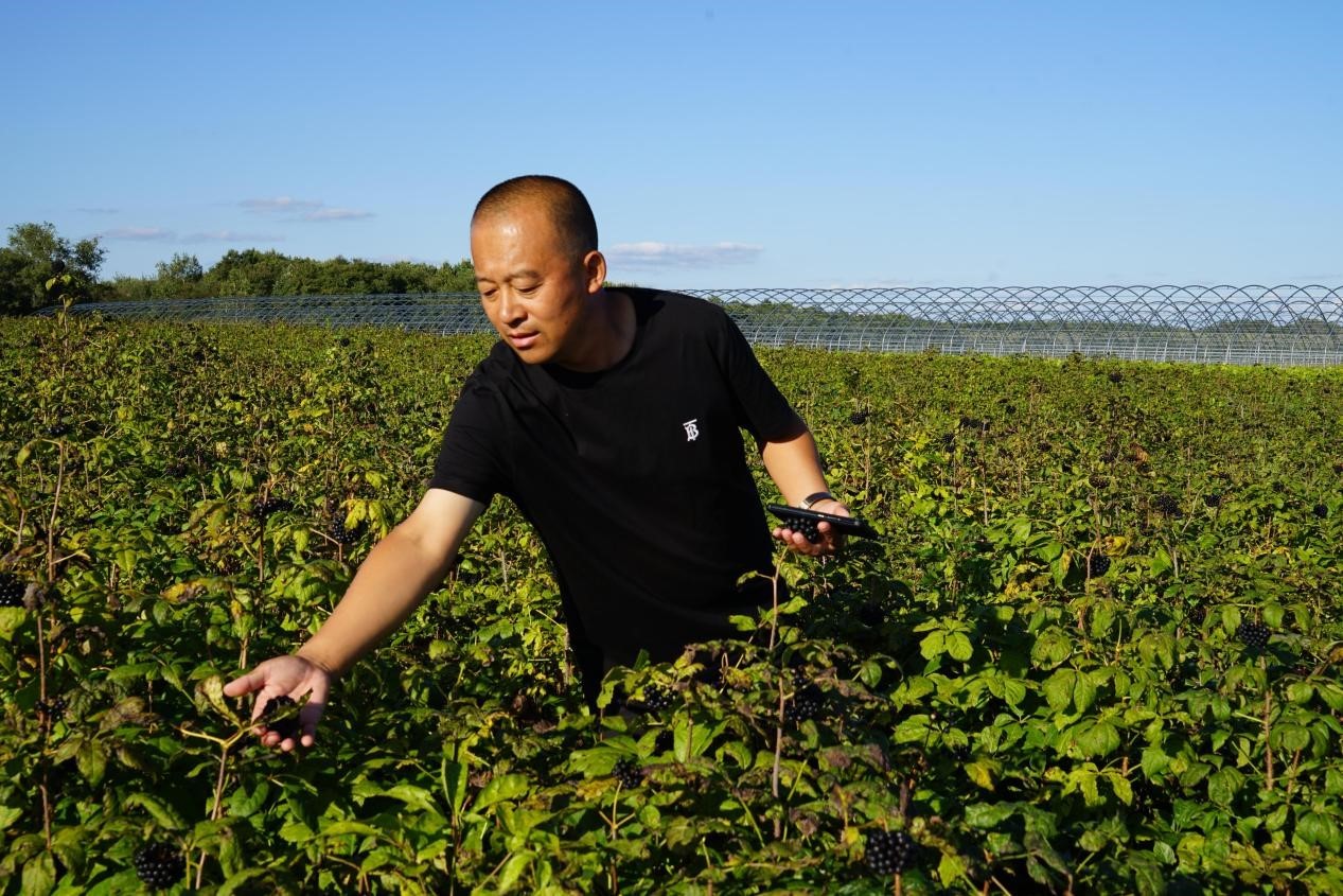 庆安县:擦亮"医药产业核心区"金字招牌