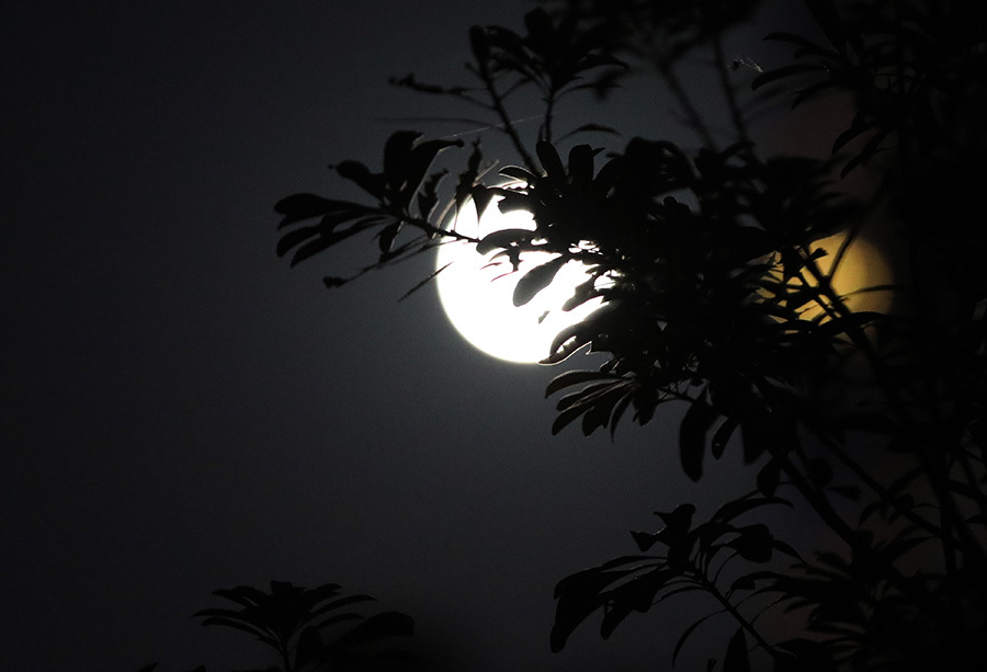 月隐空夜图片