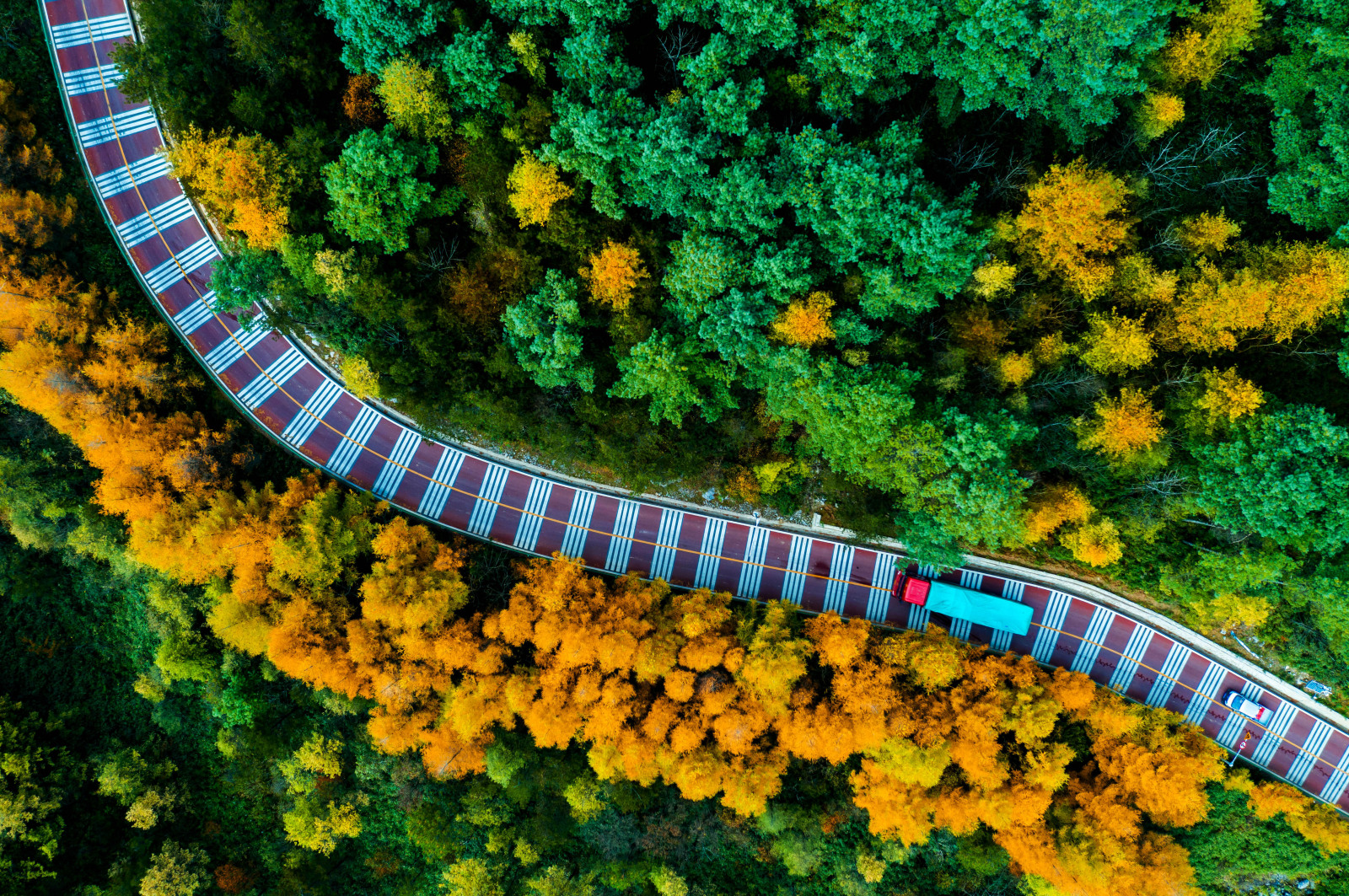 红池坝景区(央广网发 巫溪县文化旅游委供图)