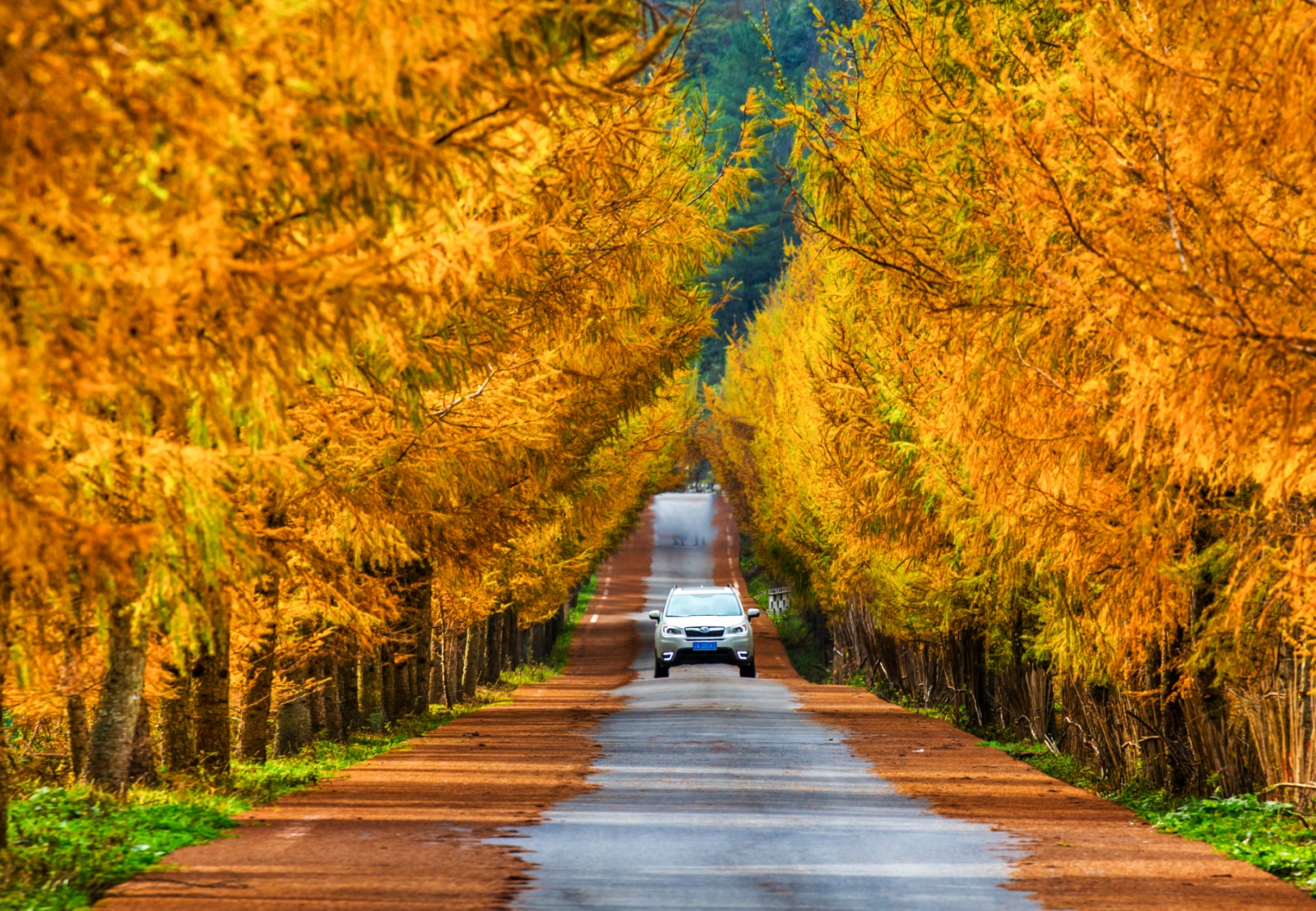 重庆频道 区县巫溪县文化和旅游委副主任余晓燕就巫溪秋季旅游推出了