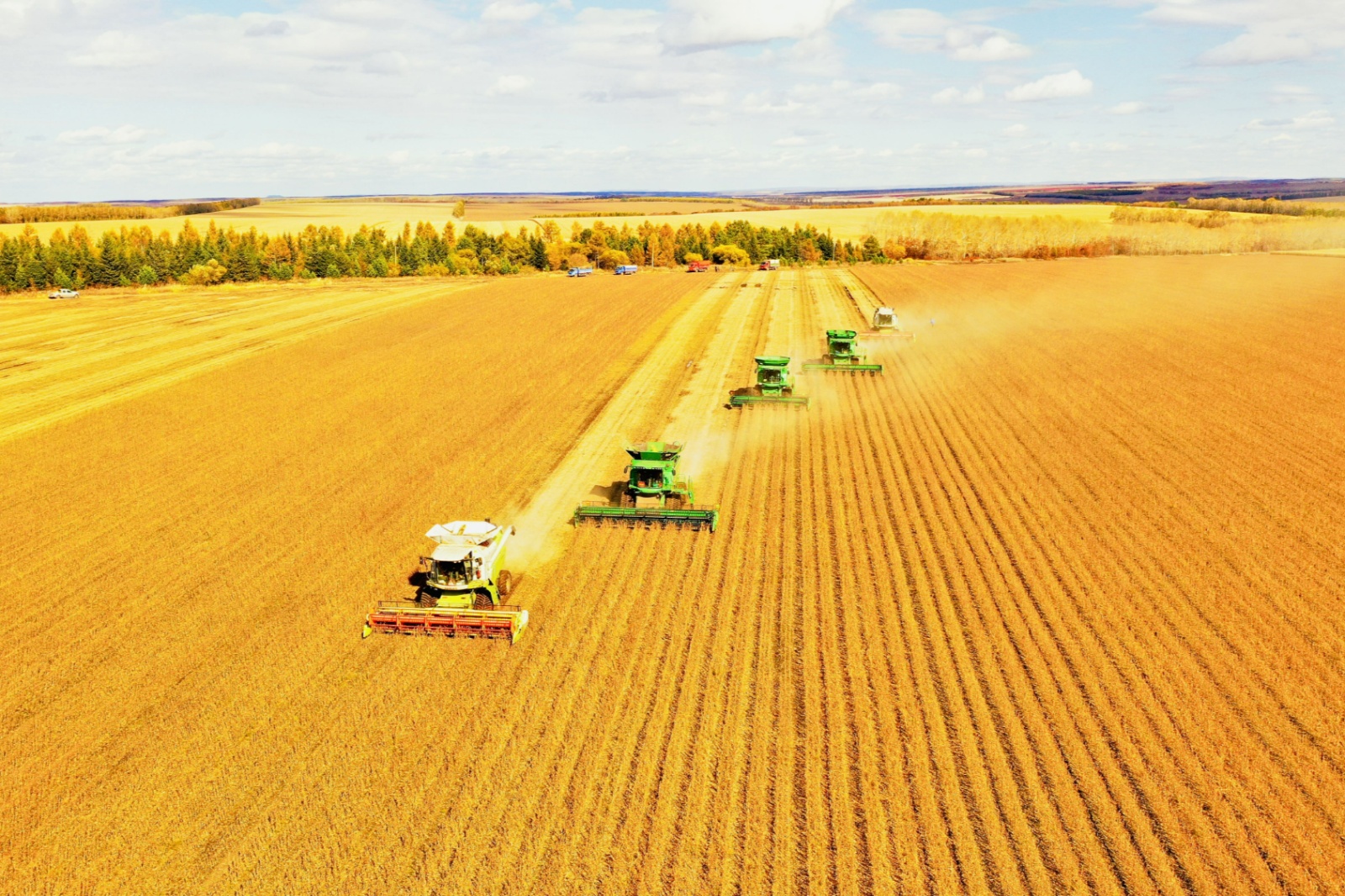 【丰收献给党】龙江"丰"满秋色待"检阅"