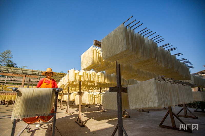 江西都昌:金秋晒面忙