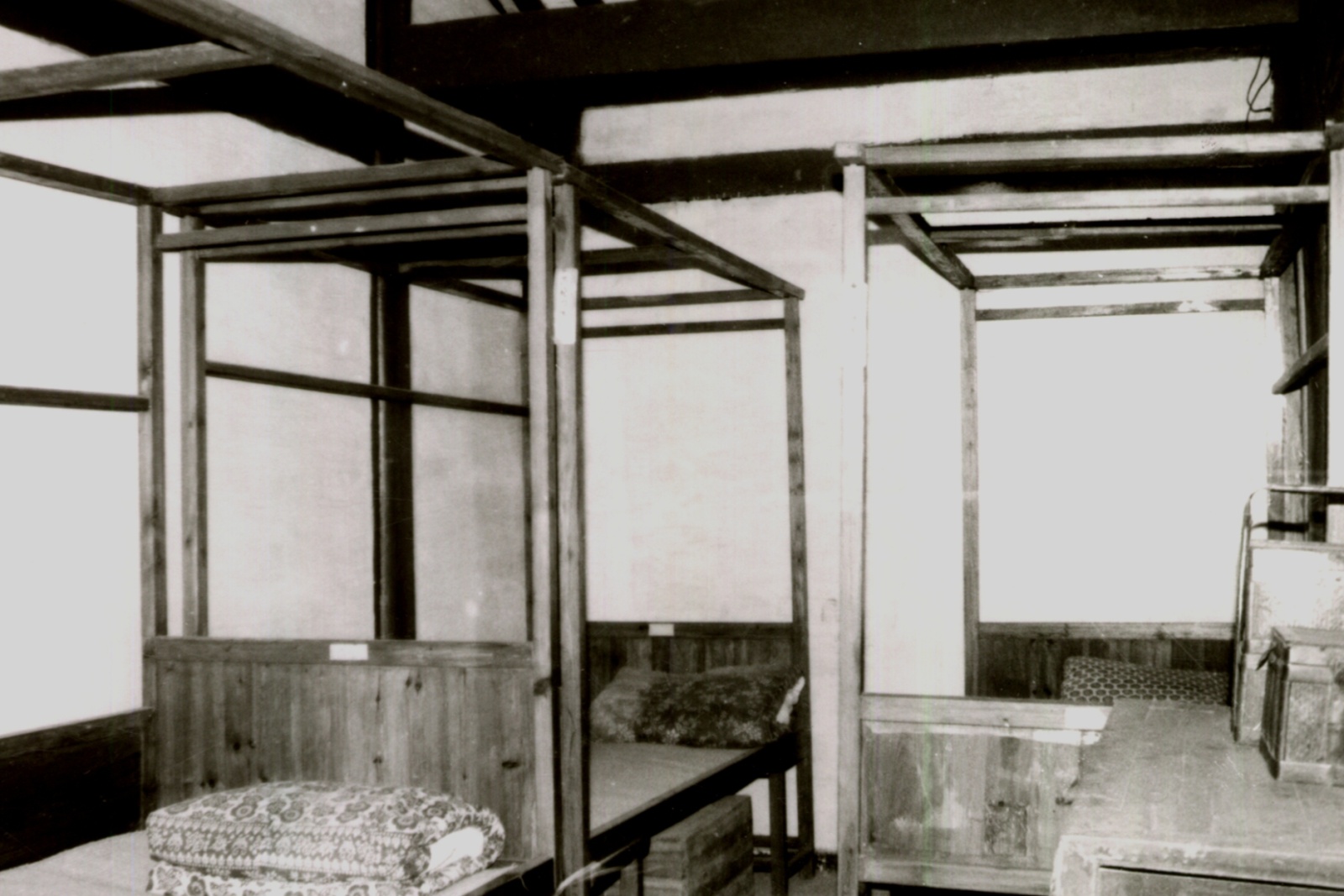 致敬!这位黄山人毕生做了这件事