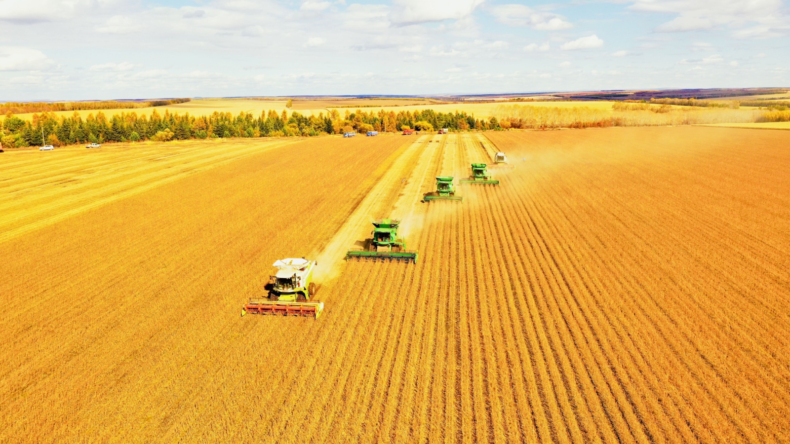 【丰收献给党】种好"中国粮食"的"粮"苦用心