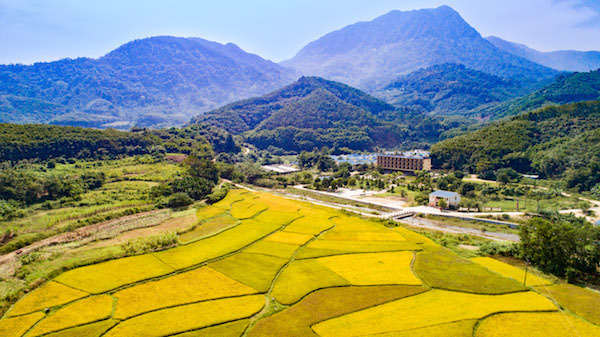 藤县藤州镇白沙村图片