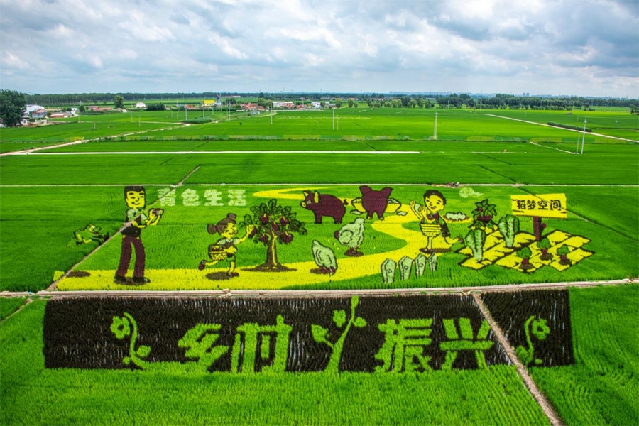 逊克县宝山村驻村作业队： 村庄复兴无缝联接