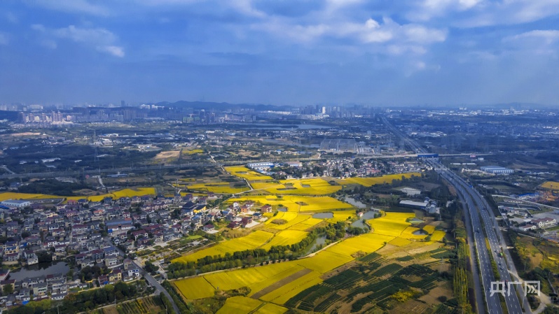 江苏镇江丹徒:建设美丽乡村,家乡更"靓"更"宜居"