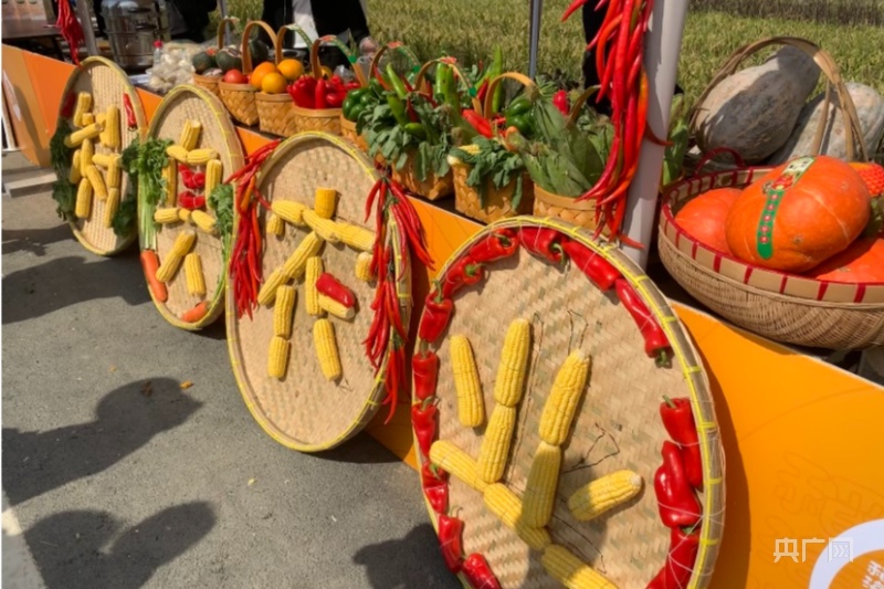 农旅融合喜庆丰收 宁波镇海启动稻田文化艺术季