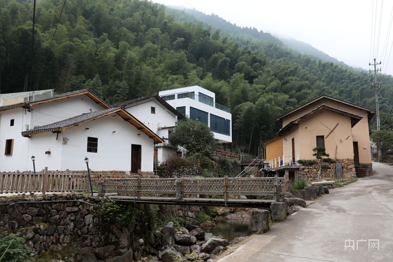 石梁镇张西村风景(央广网记者 魏炜摄)