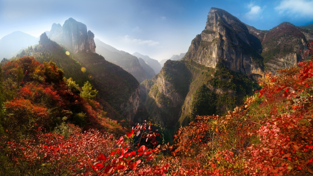 巫山红叶似彩霞 国际红叶节又双叒叕来临