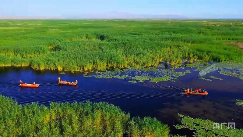 首批新疆主要湿地名录公布 新疆博斯腾湖榜上著名
