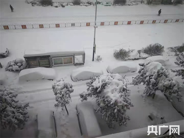 为什么通辽市连续两年出现极端暴雪 专家解读来了 央广网