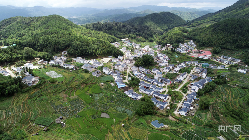 乡村振兴看福建古田镇从红帽子到金饭碗