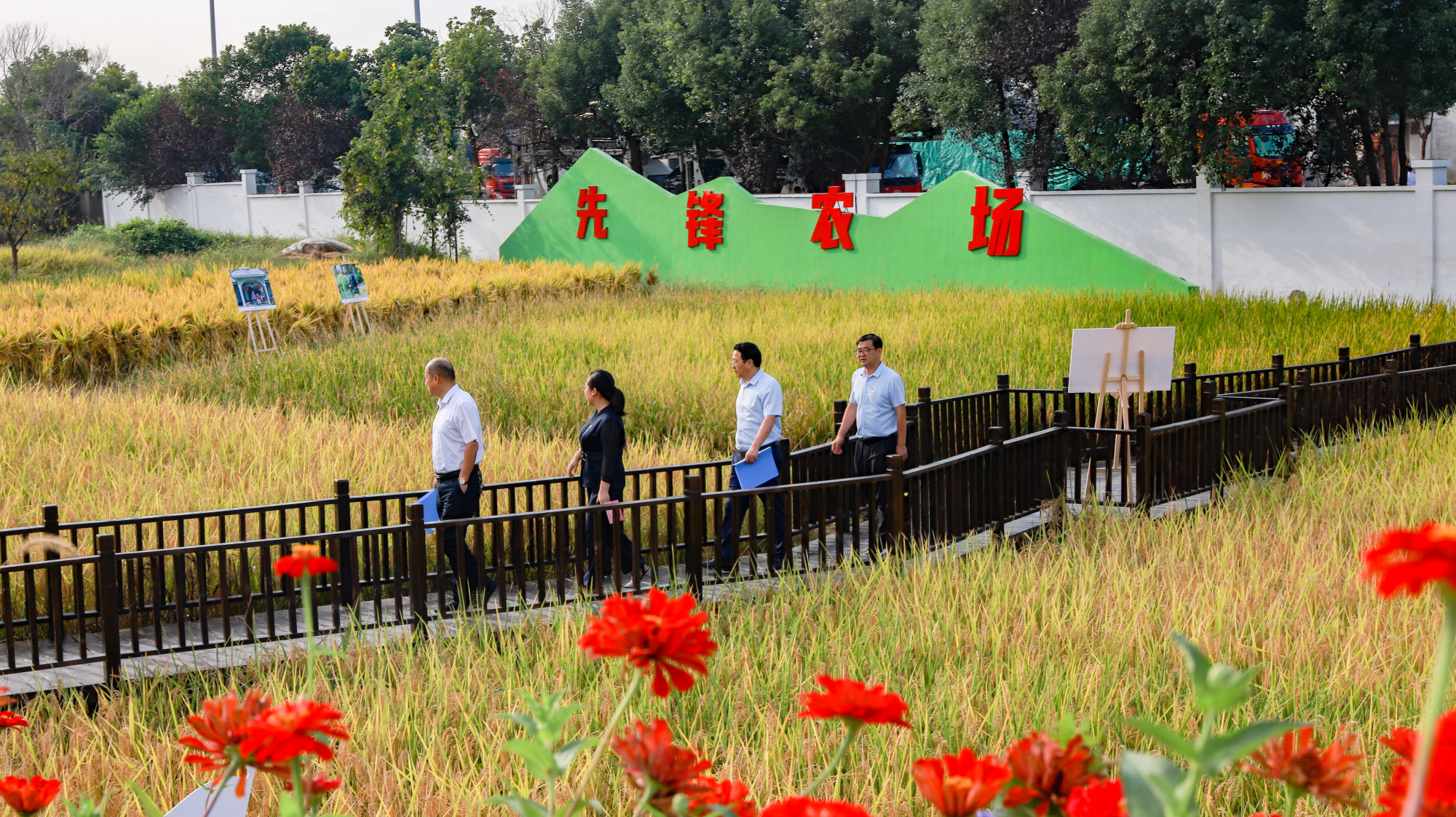 "先锋农场"变身"幸福农场"