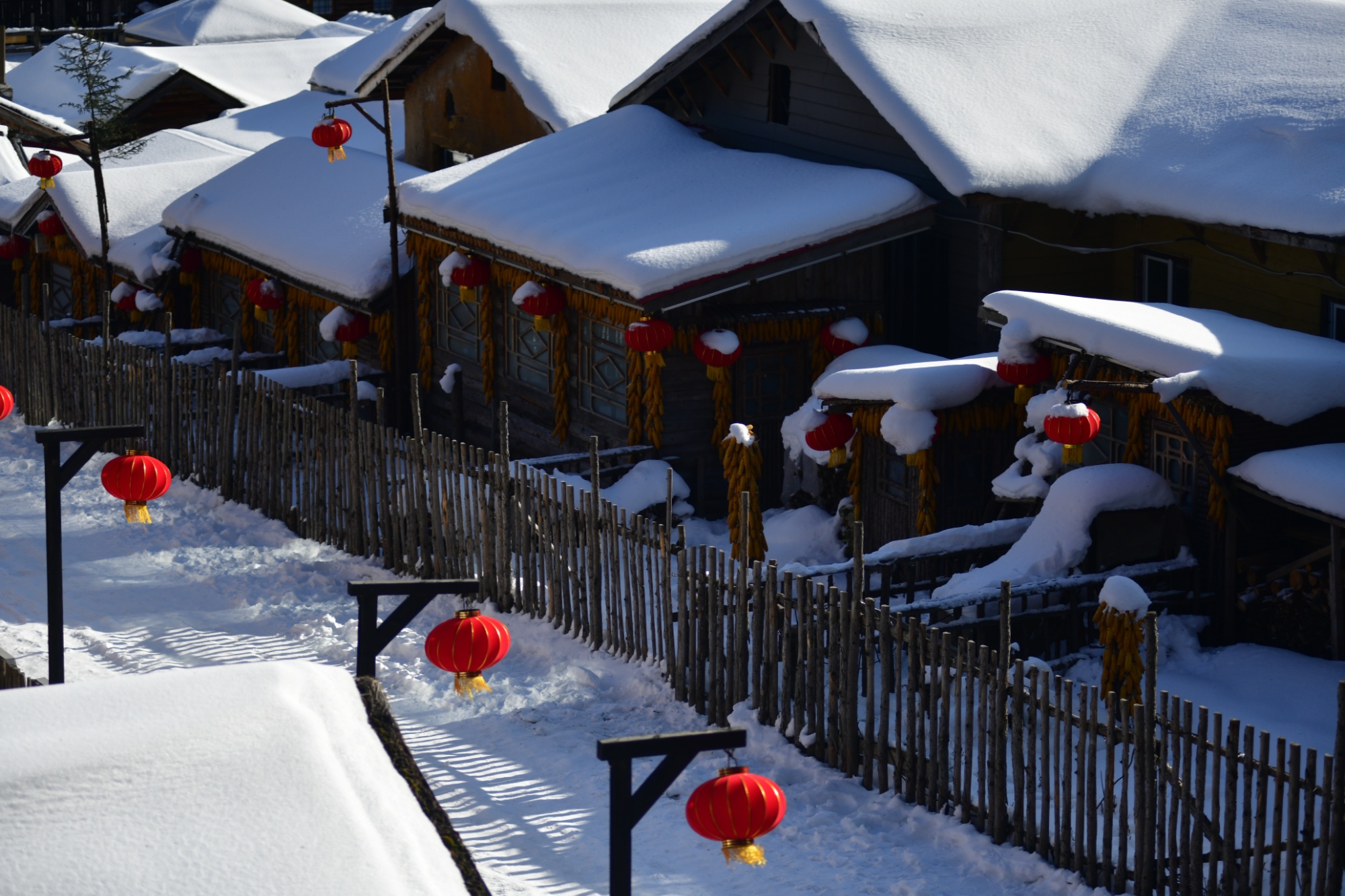 雪乡图片大全大图图片