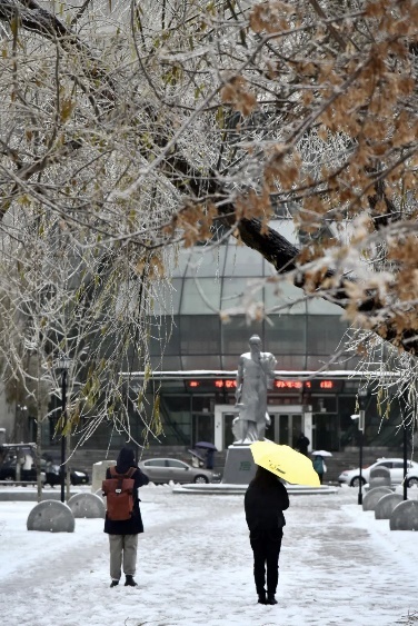 东北农业大学雪景图片