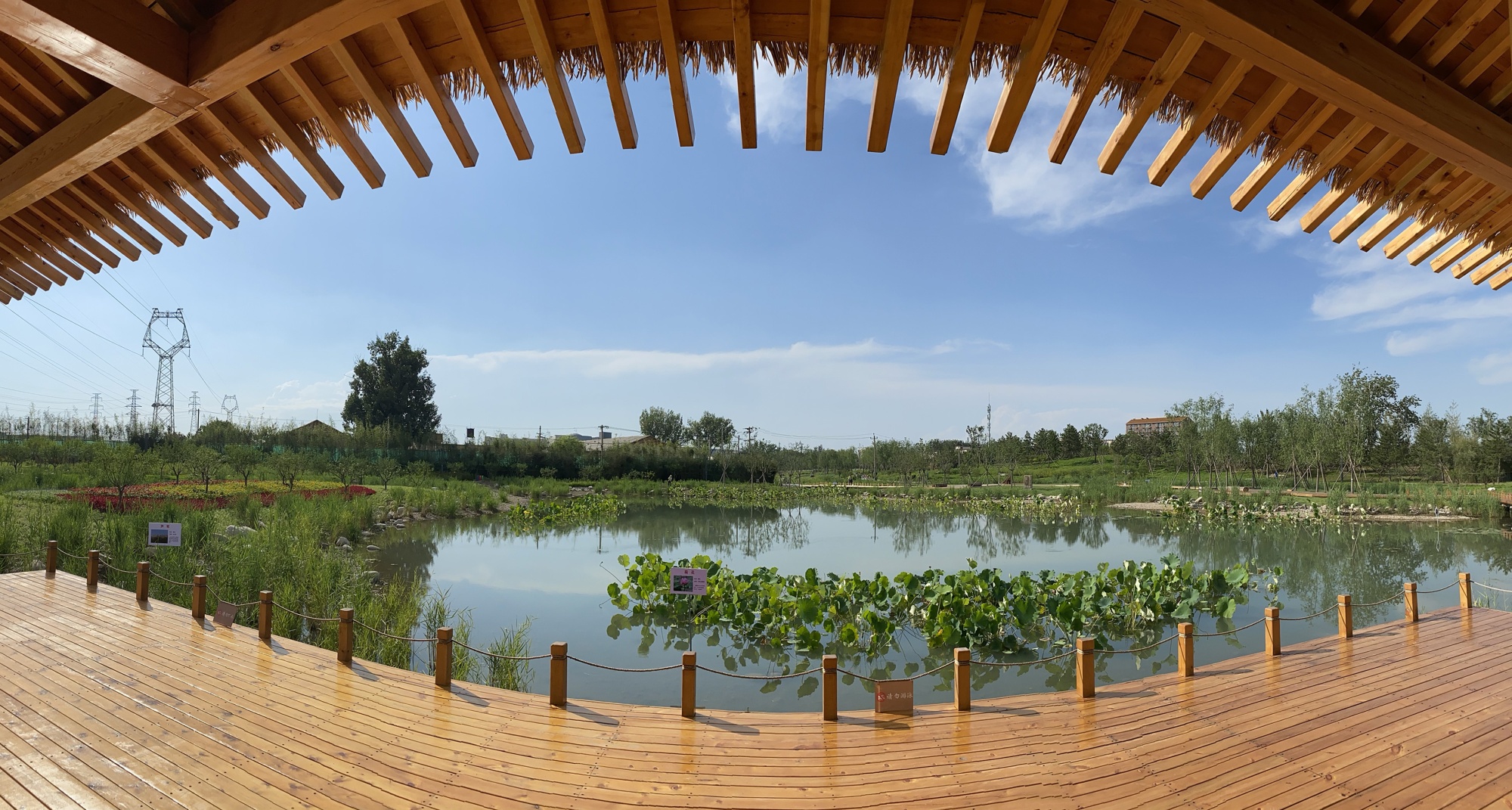 久敬莊公園重現南苑水草豐美的水澱景觀 (攝/劉平 央廣網發)