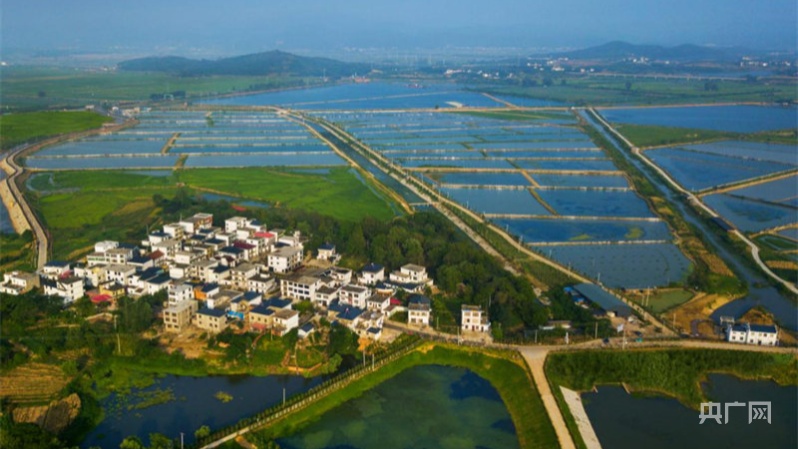 水通南国三千里 江西彭泽重塑水乡田园