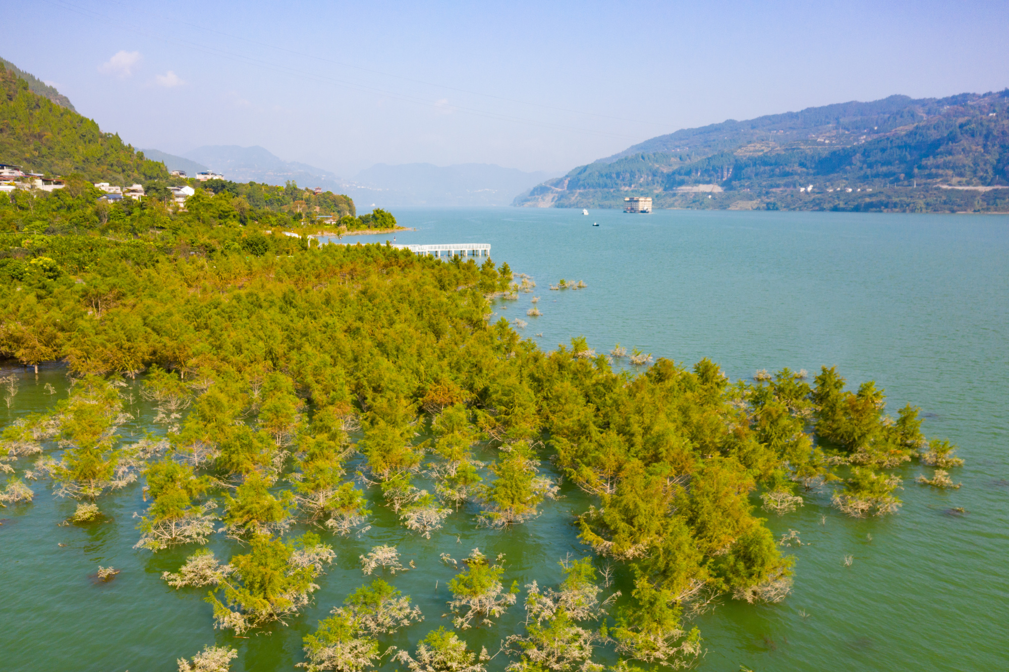 冬日"调色盘" 重庆万州中山杉林添梦幻_央广网