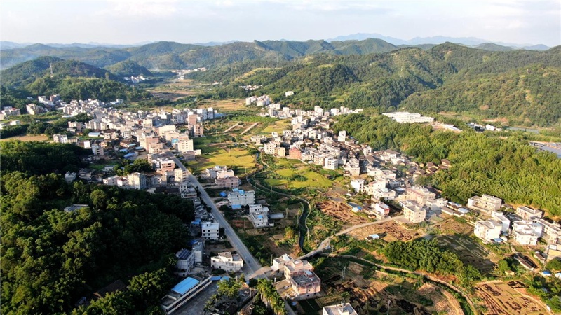 乡村振兴看八桂广西岑溪市生态循环模式助推集体经济高质量发展