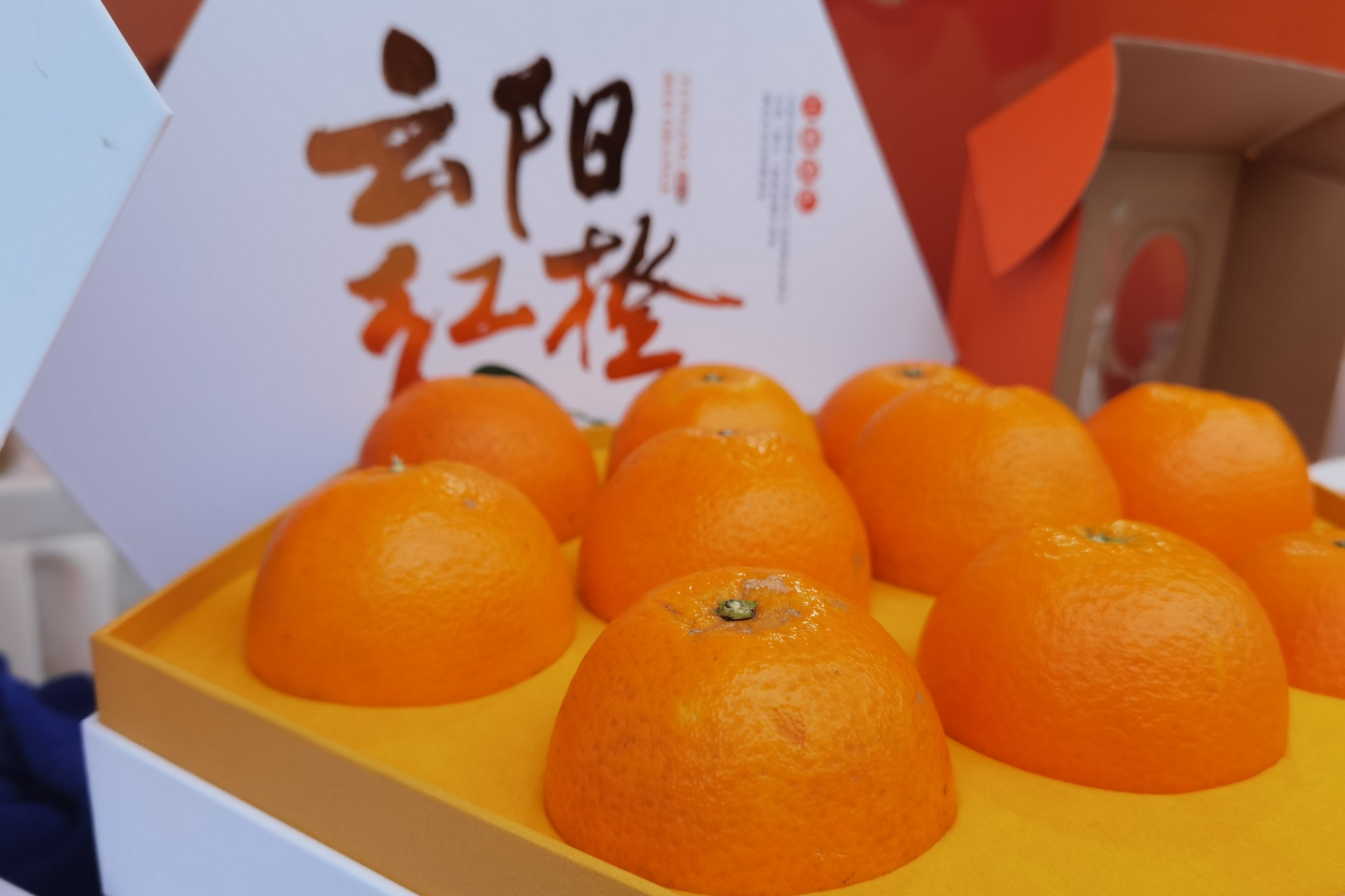 橙天文化 logo设计_尚晓晨Stephen-站酷ZCOOL