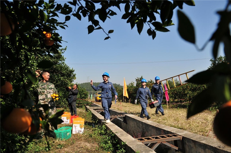 党员服务队到华山农场走访(央广网发  陈心诚摄)在巧妇9妹甘有琴的