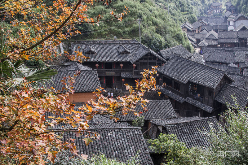 聚焦老区发展福建长汀丁屋岭古寨活了日子富了人回来了