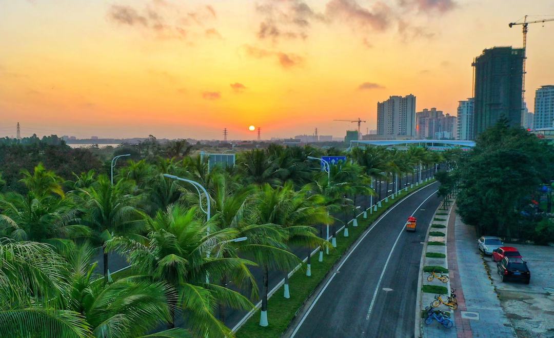 组图2022元旦俯瞰晨光中的美丽椰城