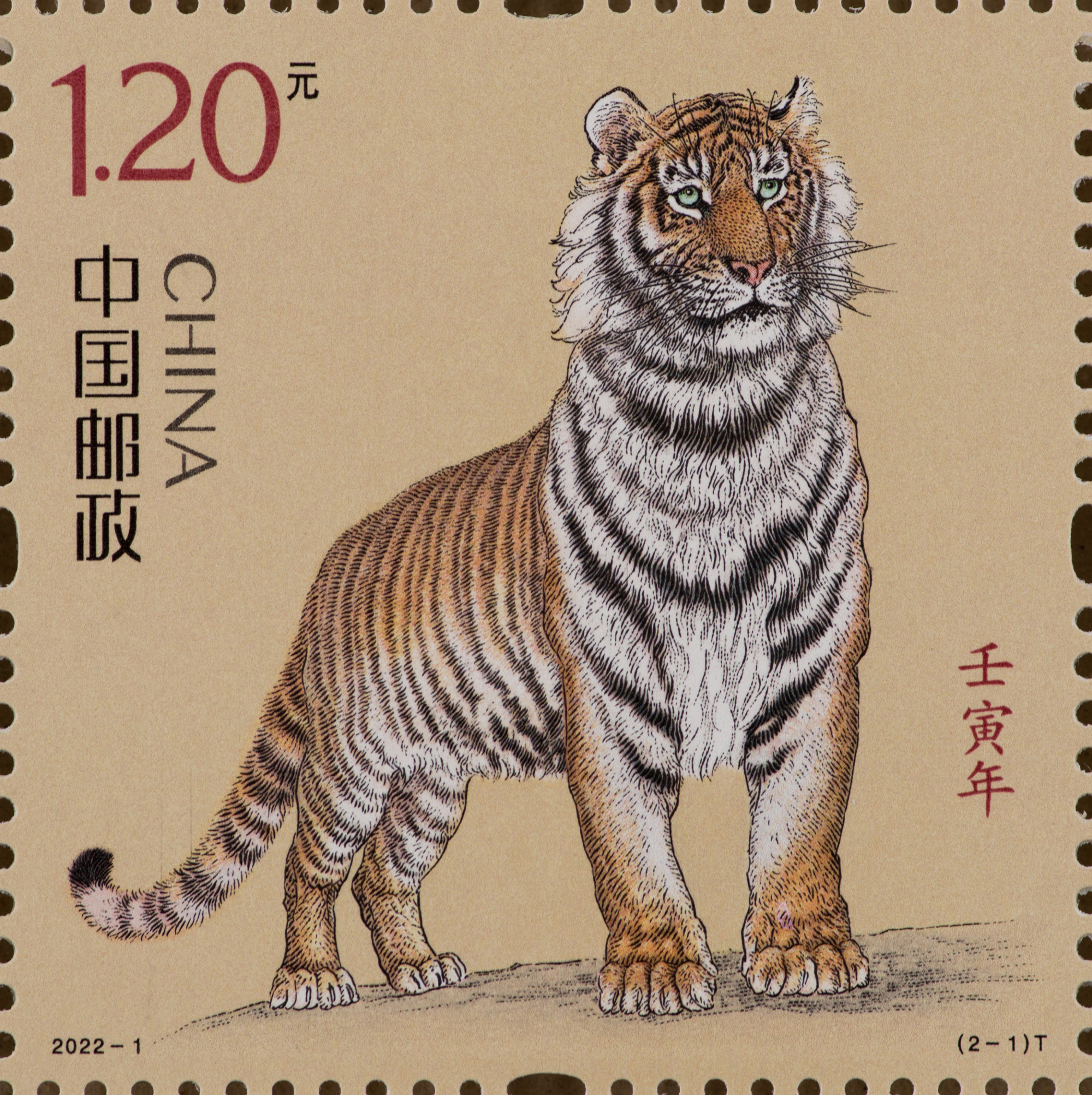 虎年生肖邮票来了！由著名画家冯大中创作1套2枚