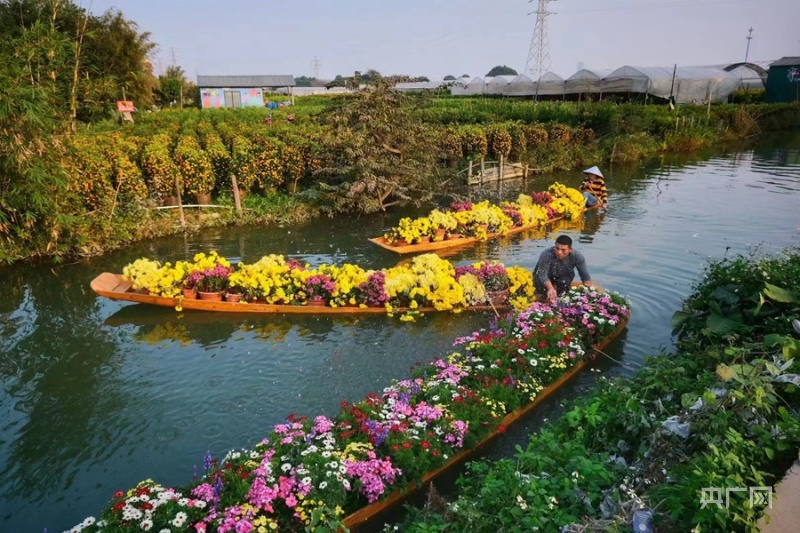 让水边的Citywalk更有趣一起来果博平台认识这些“宝藏”植物(图1)