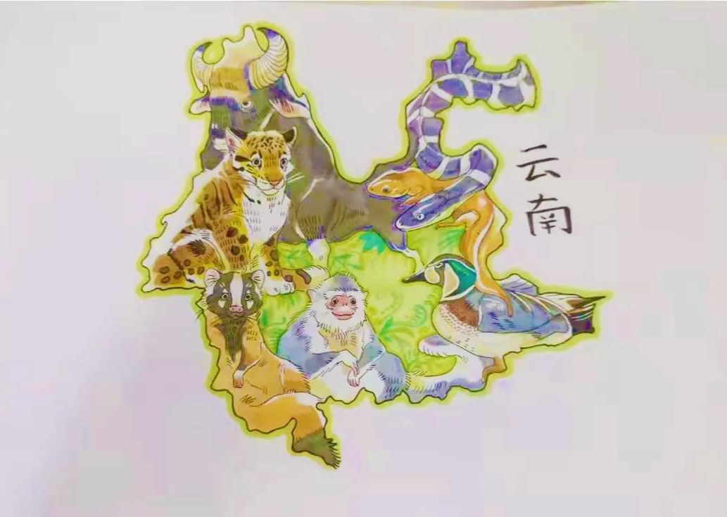 小学生绘画中国地图图片